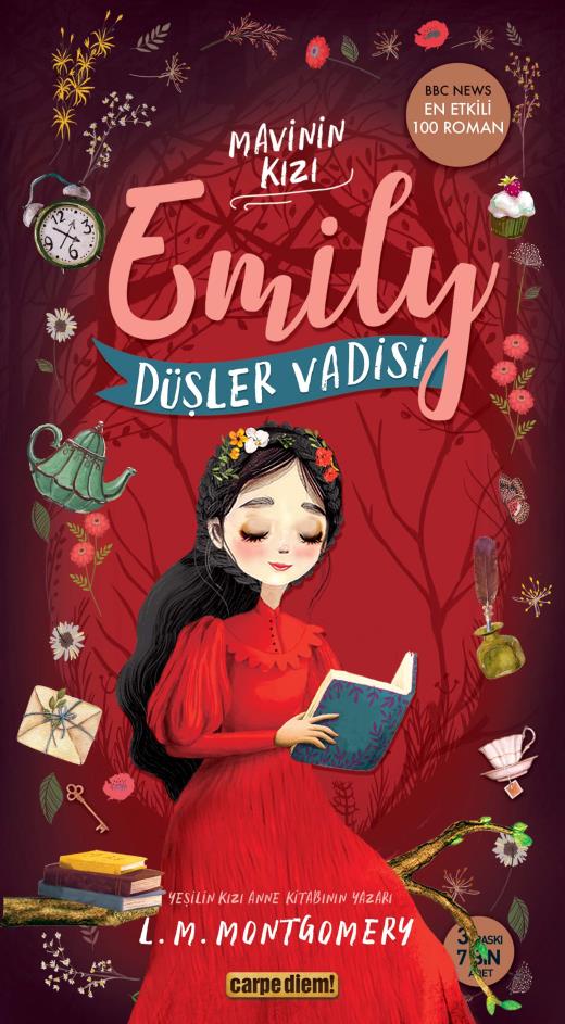 dusler-vadisi---mavinin-kizi-emily-5-9786051442761.jpg
