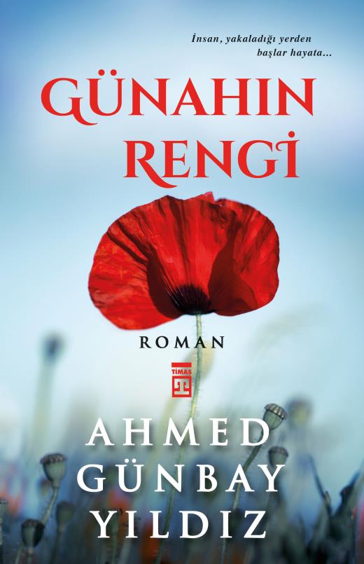 gunahin-rengi-9789752631526.jpg