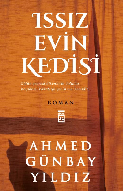 issiz-evin-kedisi-9786050831665.jpg