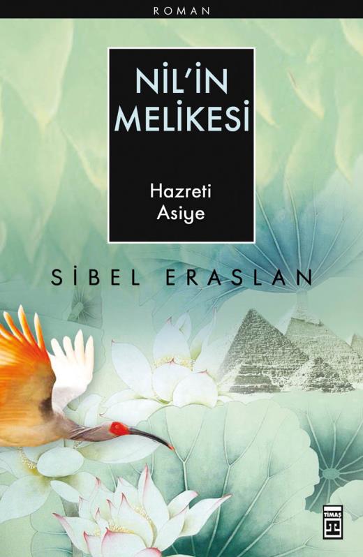 nilin-melikesi-9786051145068.jpg