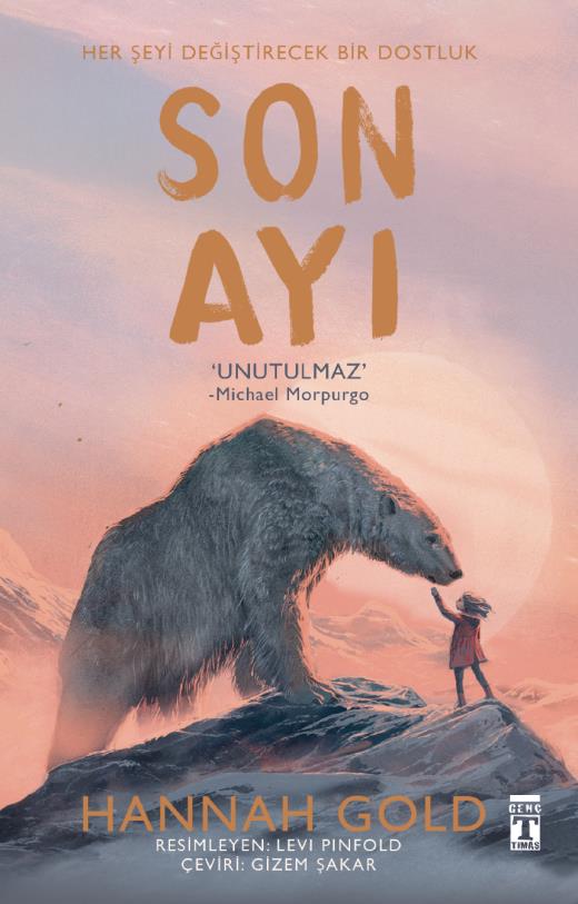 son-ayi-sert-kapak-somizli-9786050843774.jpg