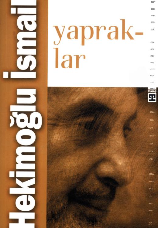 yapraklar-9799757544684.jpg